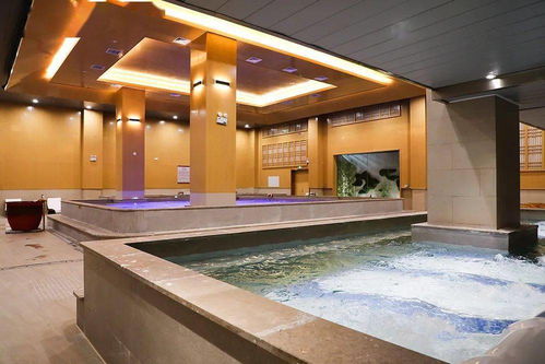 趕緊收藏！慈溪東渡舜水重磅打造大型水上樂園，僅需19.9元就能玩溫泉設備